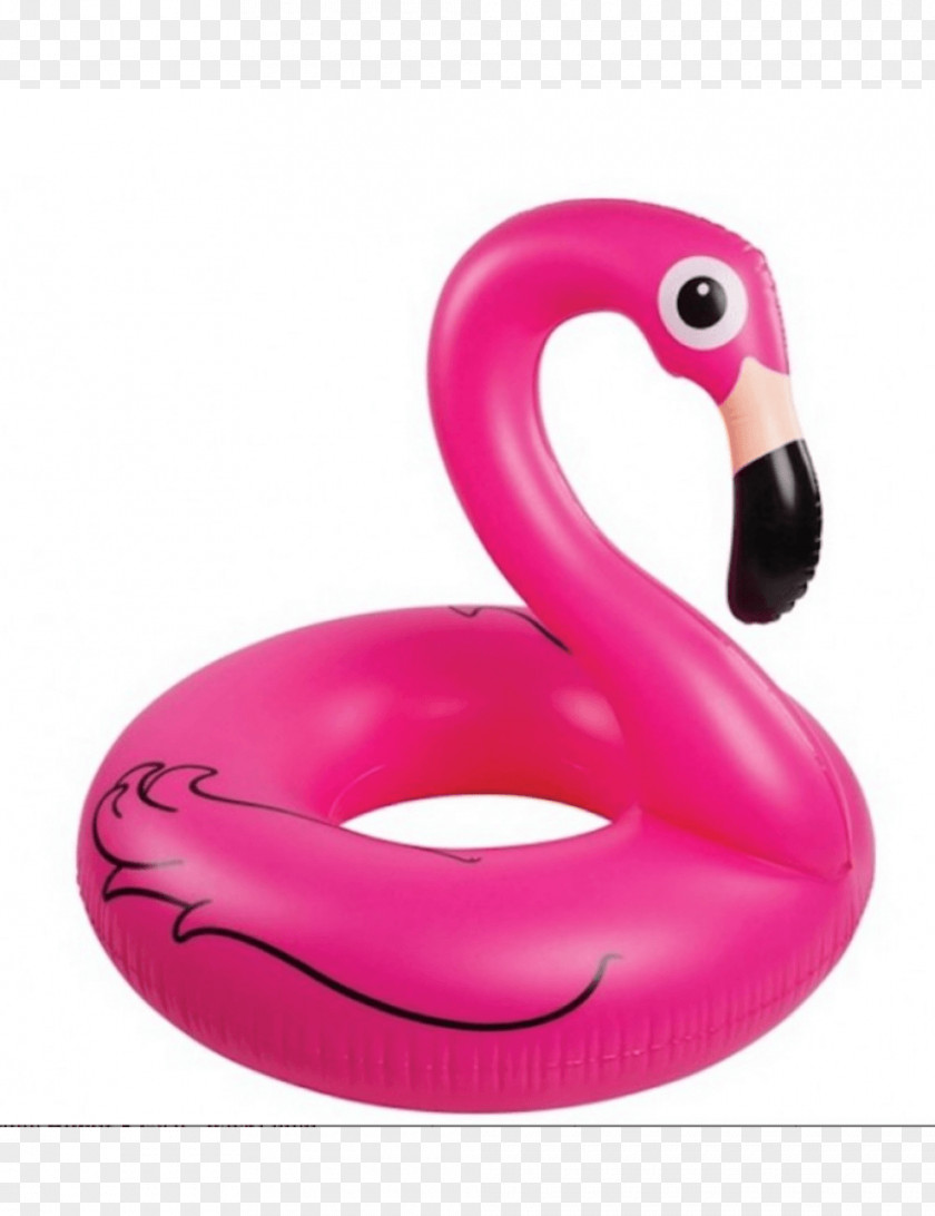 Toy Inflatable Swimming Pool Swim Ring Amazon.com PNG