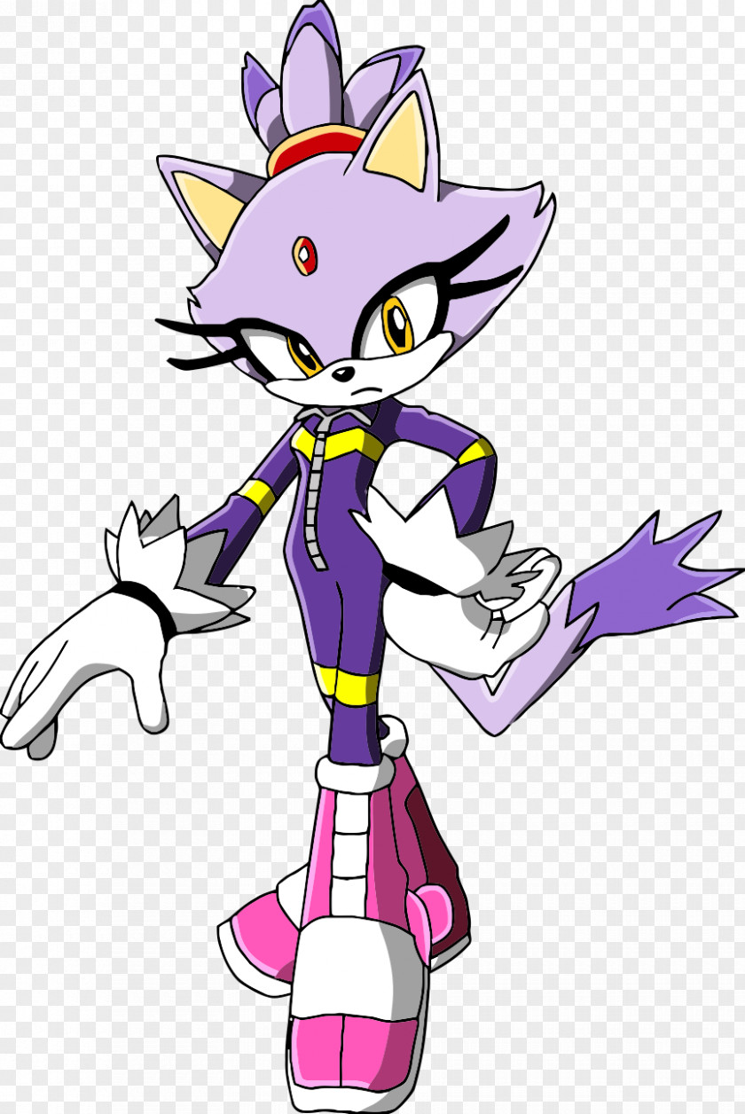 Blaze Sonic Riders: Zero Gravity Free Riders Heroes The Hedgehog PNG