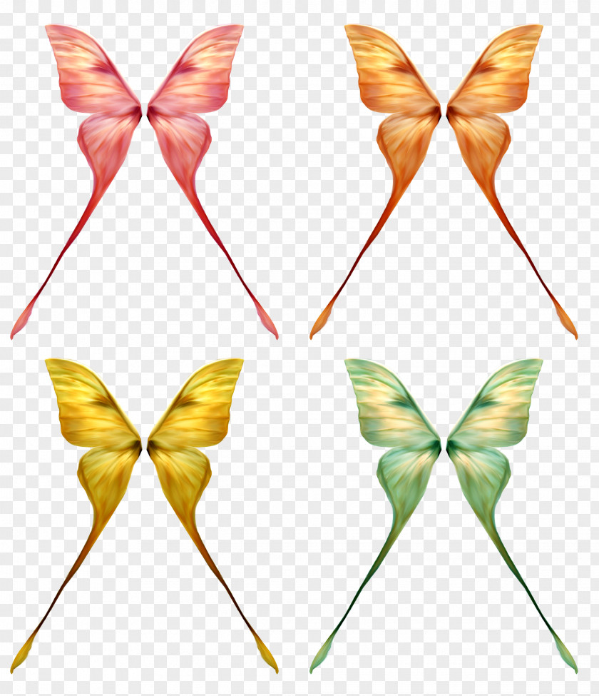 Blue Butterfly Wing Insect Clip Art PNG