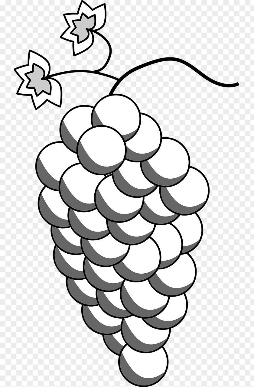 Grape Wine Drawing Clip Art PNG