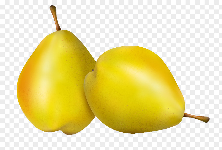 Yellow Sydney Vecteur Pear PNG