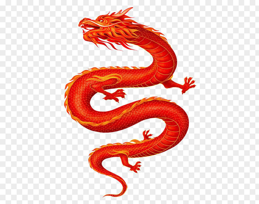 China Dragon Chinese Illustration Image PNG