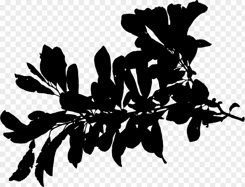 Plant Stem Silhouette Leaf Font Black PNG