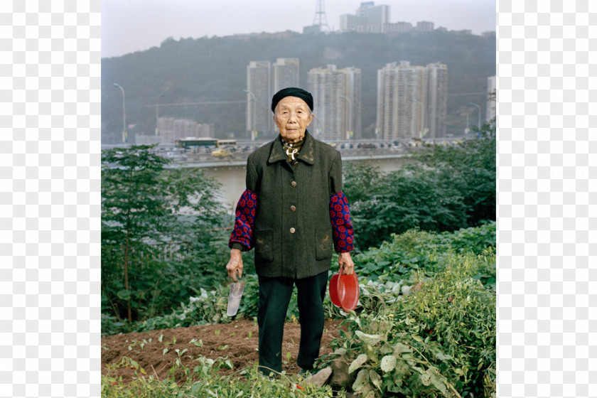 Urban Farm Agriculture Rural Area Zhong County PNG