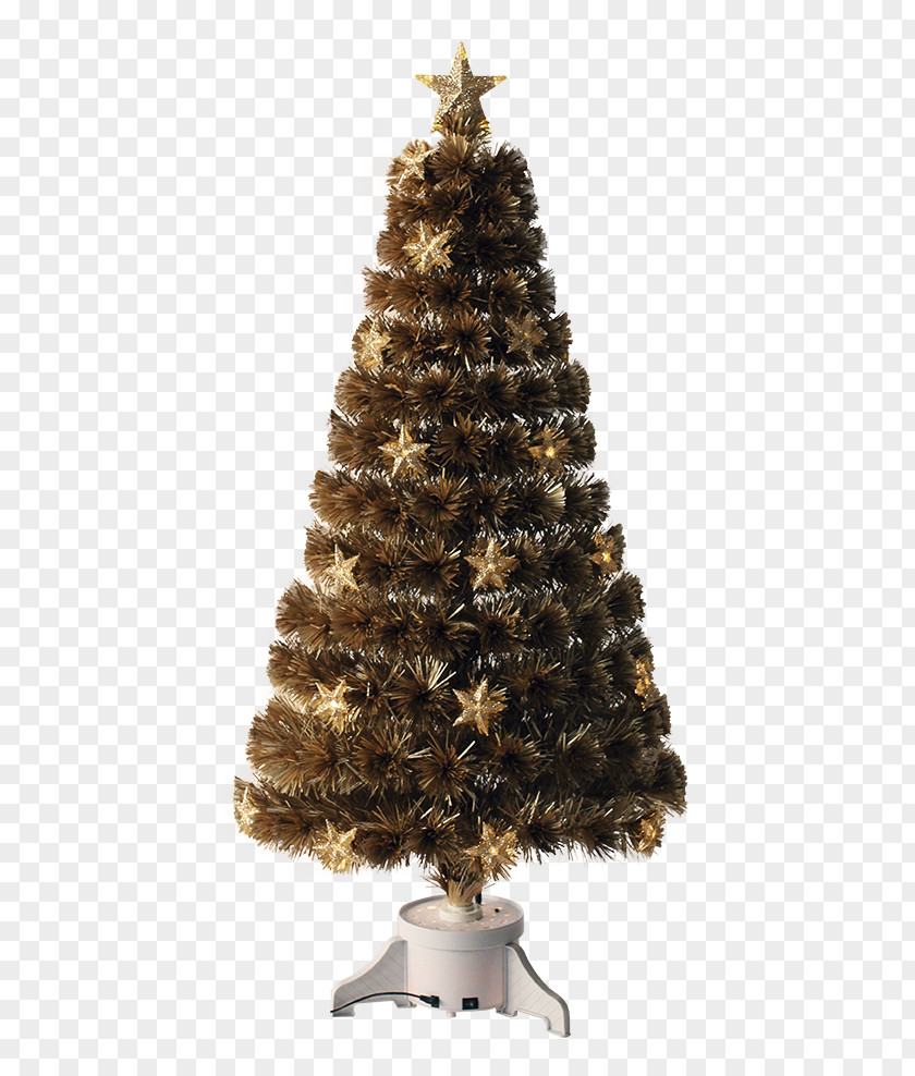 Arizona Christmas Tree Spruce Ornament Fir Pine PNG