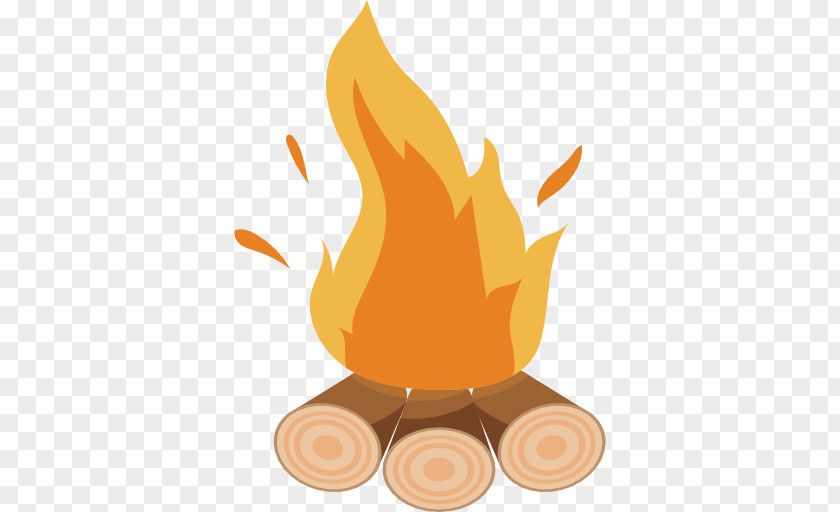 Bonfire Flame Combustion PNG