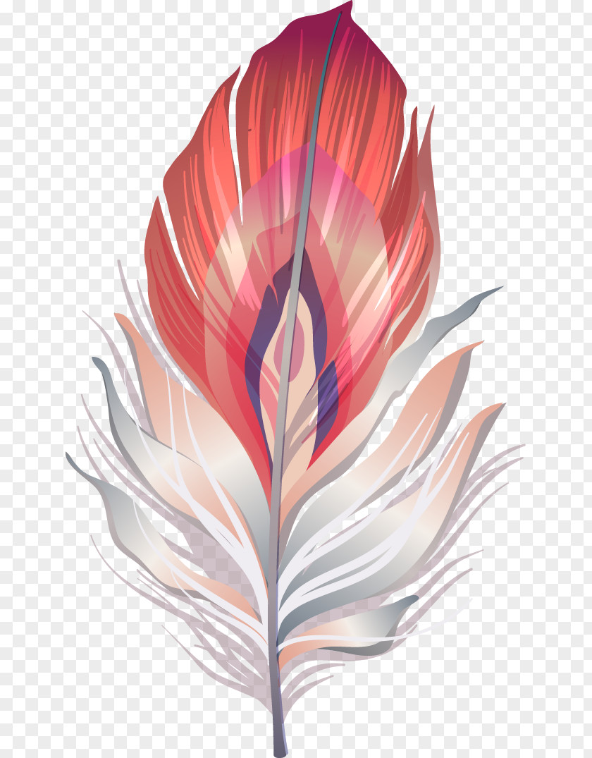 Exquisite Color Feather Mask Carnival Masquerade Ball Illustration PNG