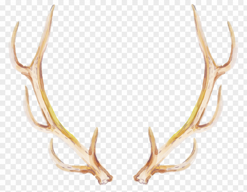 Hand-painted Antlers PNG antlers clipart PNG