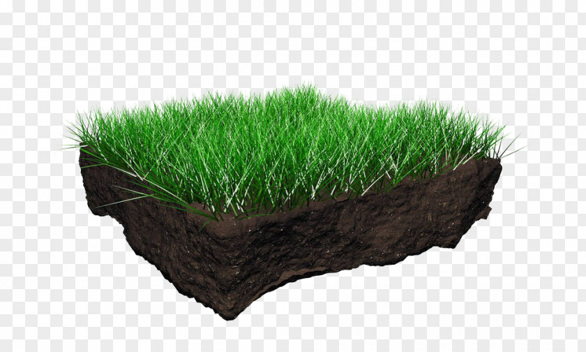 Turf Soil Profile Horizon Stock Photography Structure PNG