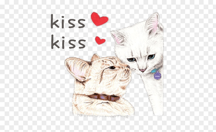 Coffee White Whiskers Kitten Cat PNG