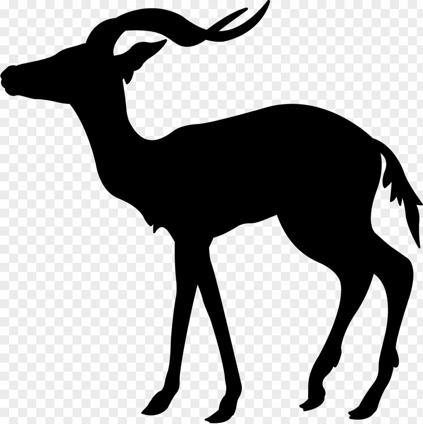 Deer GAZELLE M Clip Art Fauna Silhouette PNG