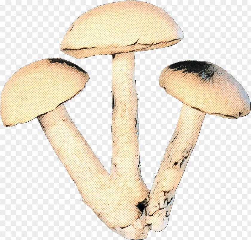 Edible Mushroom Agaricaceae Product Design PNG