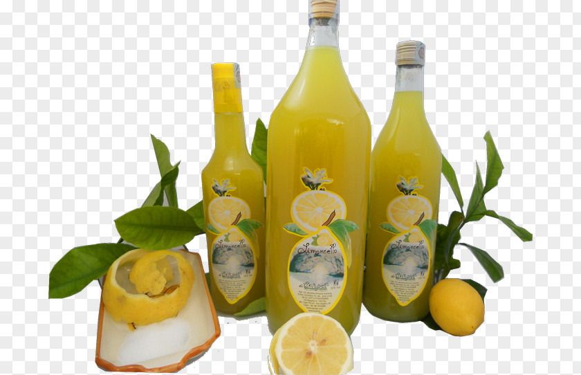 Lemon Limoncello Juice Glass Bottle Citric Acid PNG