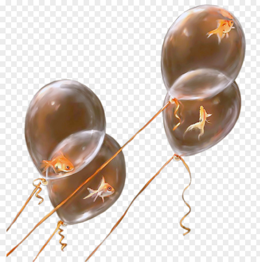 Party Toy Balloon PNG