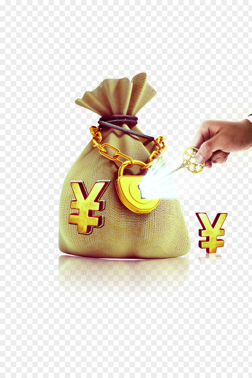Purse Finance Money Gold Coin PNG