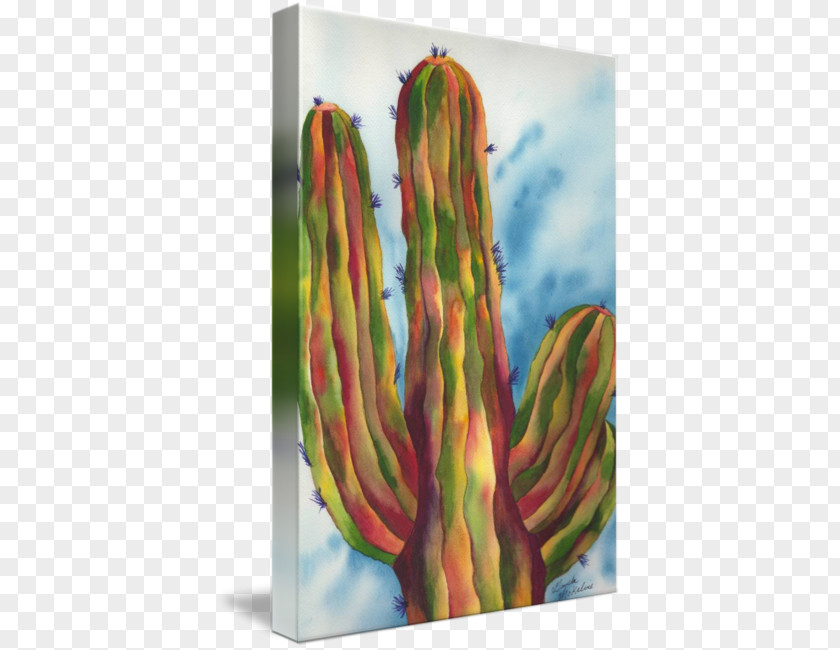 Watercolour Cactus Watercolor Painting Abstract Art Fine Saguaro PNG