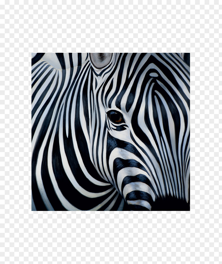 Zebra Horse Painting Serengeti Canvas PNG