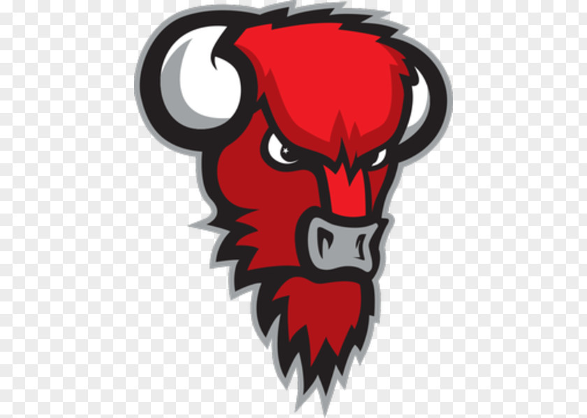 Basketball Bisons Loimaa 2014–15 Korisliiga Season Logo Nilan PNG