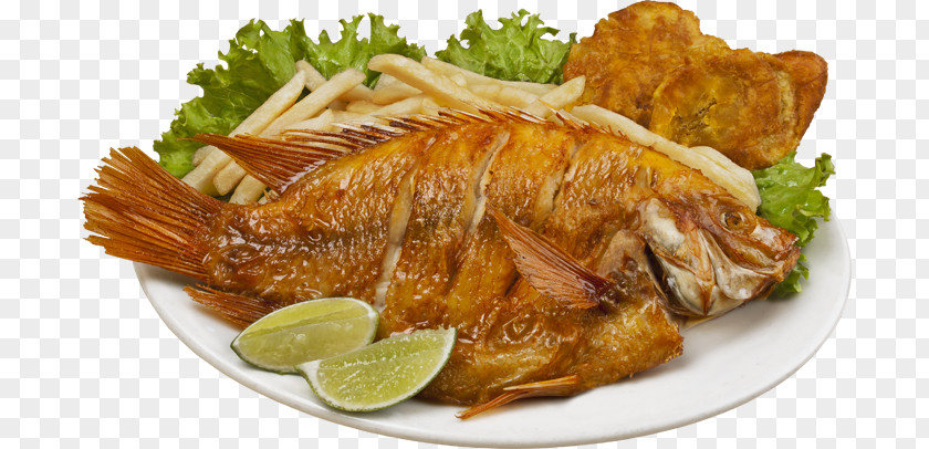 Fish Frying Mojarra Picadillo Mexican Cuisine Tilapia PNG