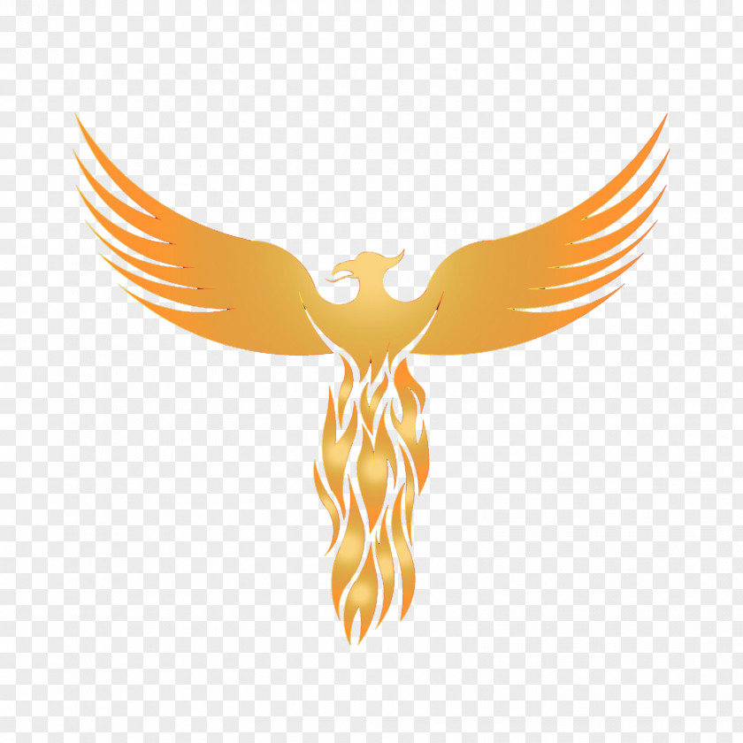 Phoenix Logo Graphic Design Sticker PNG