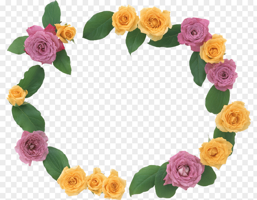 Qi Baishi Rose Cut Flowers Petal Floral Design PNG