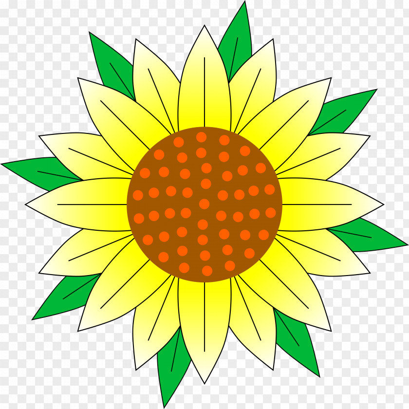 Sunflower Leaf Flower Yellow Clip Art PNG