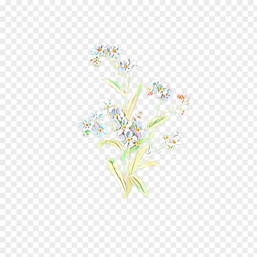White Flower Plant Pedicel Cut Flowers PNG
