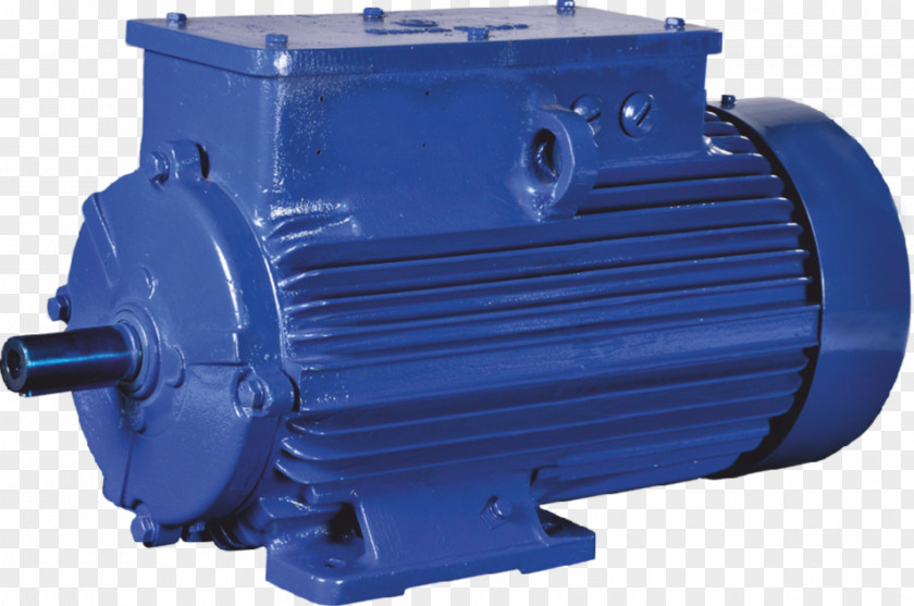 Engine Bharat Bijlee Limited Electric Motor Induction Three-phase Power PNG