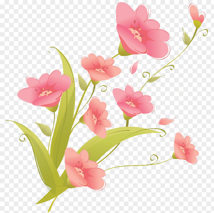 FLORES Flower Clip Art PNG