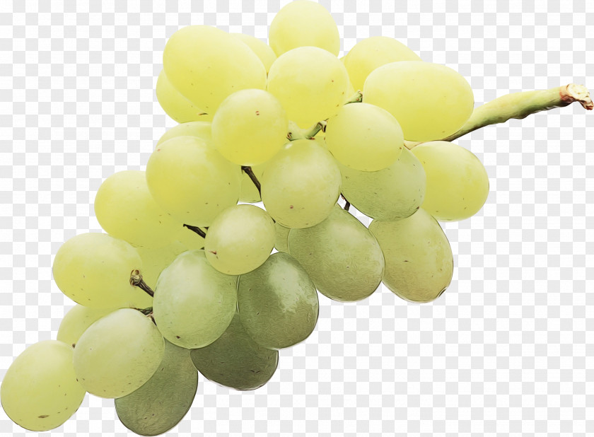 Grape Seed Extract Flower Grapes Cartoon PNG