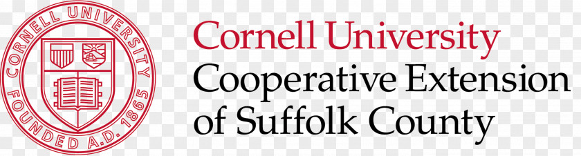 Line Cornell University Brand Logo Trademark Font PNG