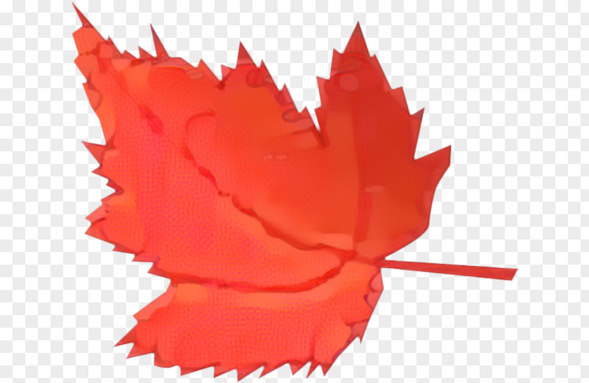 Petal Coquelicot Red Maple Tree PNG