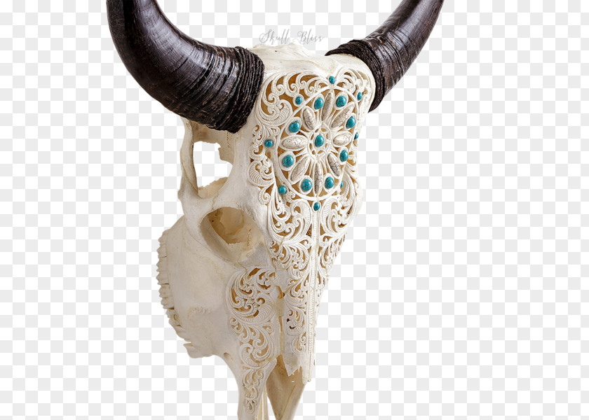 Skull Horn Animal Skulls Cattle Bull PNG