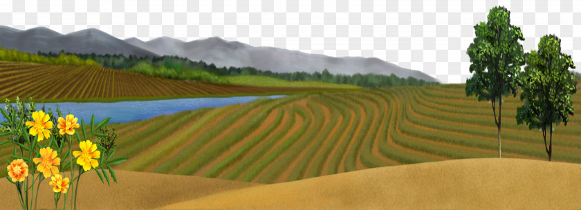 Spring Scenery Freehand Outskirts PNG