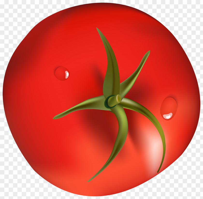 Tomato Vegetable Food Clip Art PNG