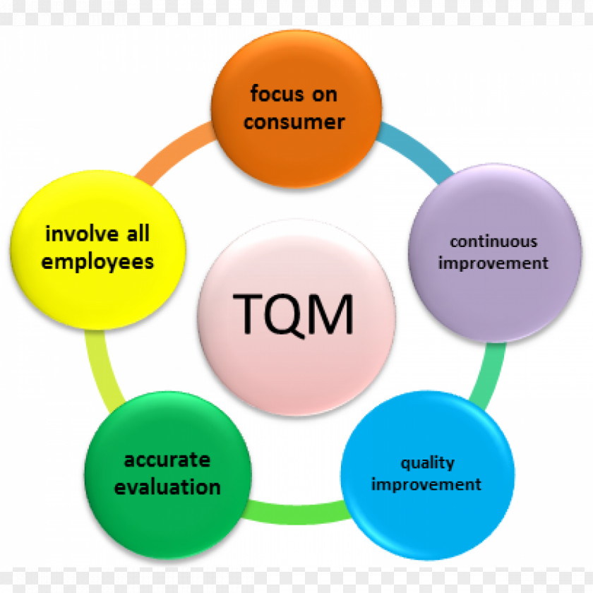 Total Quality Management Organization PNG