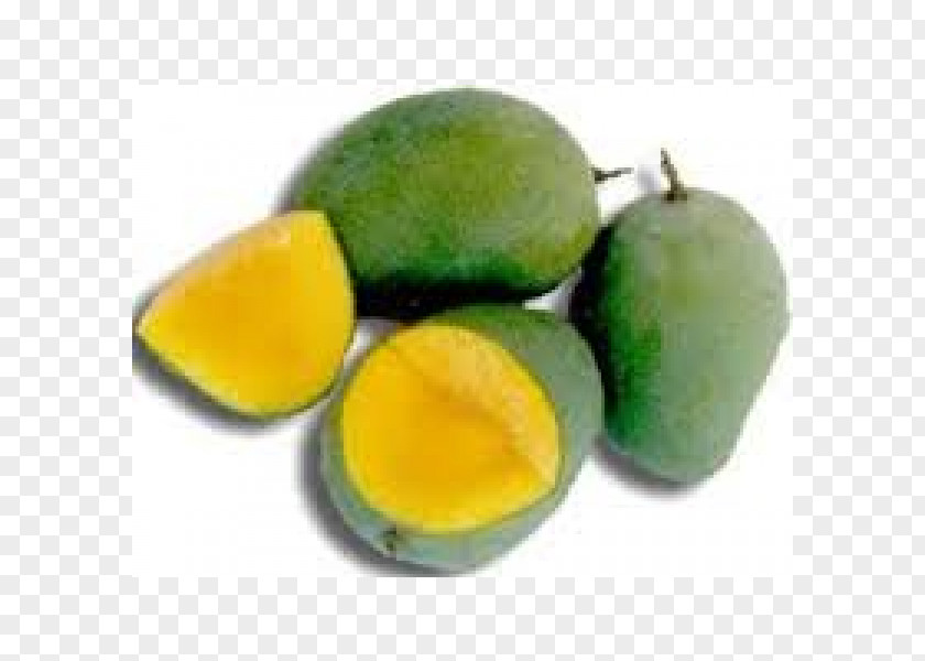 Vegetable Fruit Tree Mangifera Indica Auglis PNG