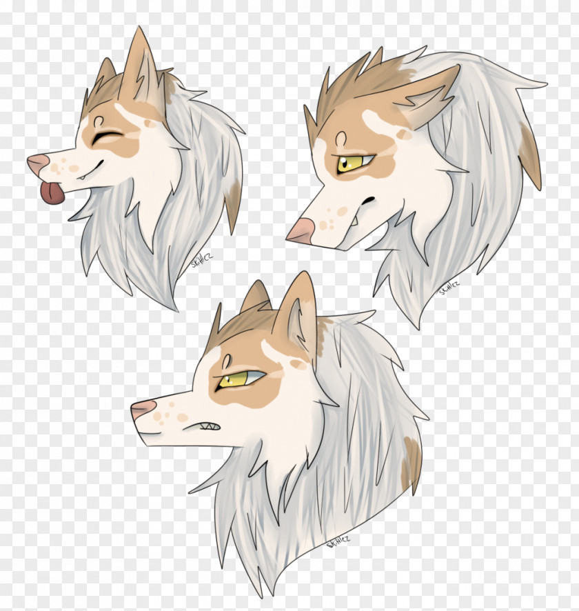 Dog Ear Character Sketch PNG