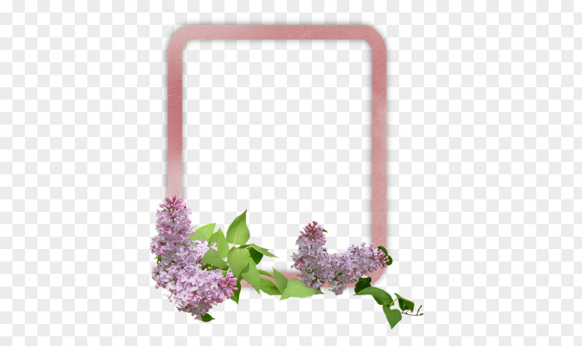 Flower Desktop Wallpaper Clip Art Drawing Image PNG