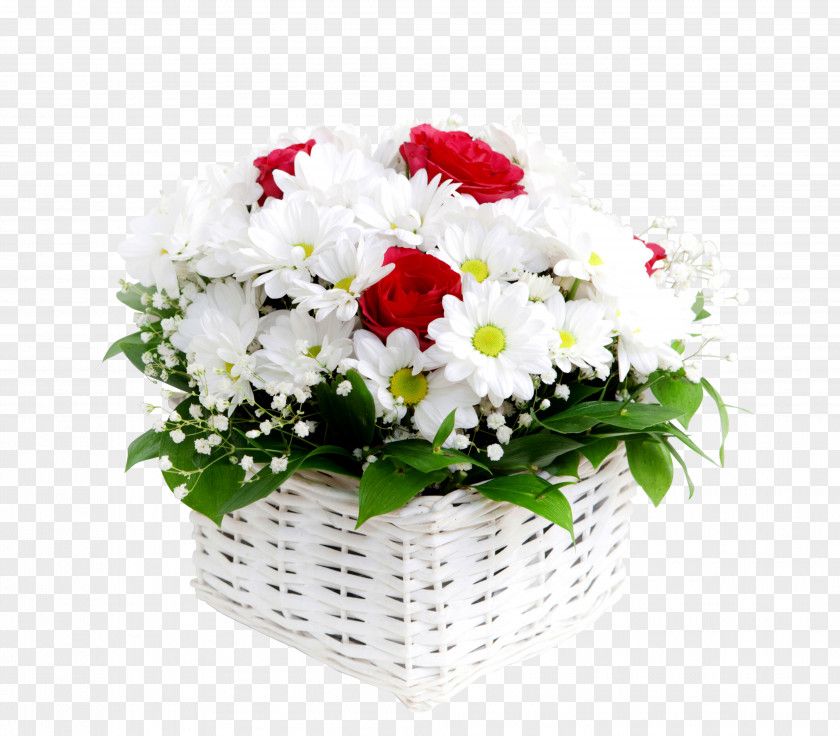 Gypsophila Greeting Friendship Love Afternoon PNG