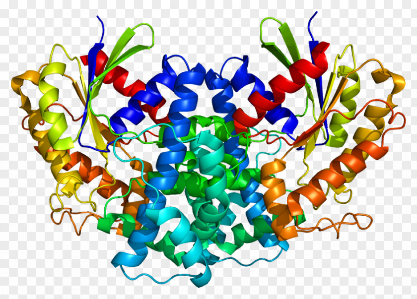 Protein GNA12 Heat Shock 90kDa Alpha (cytosolic), Member A1 Hsp90 PNG