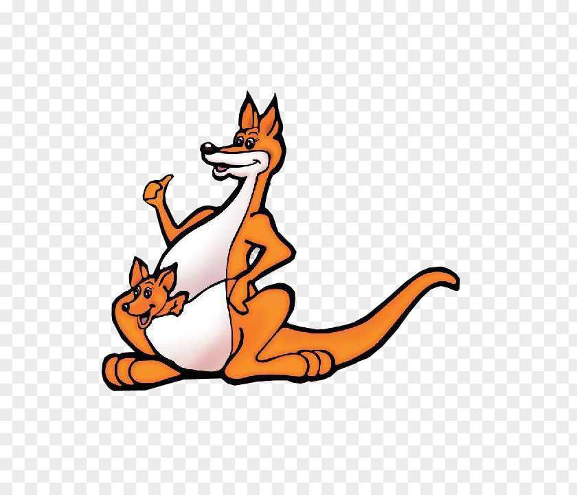 Proud Kangaroo Macropodidae Cartoon PNG