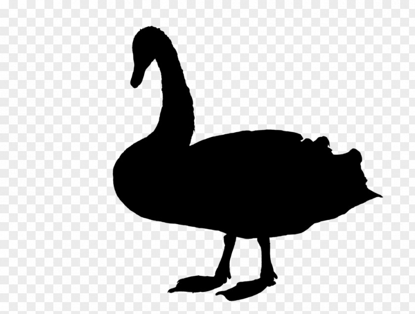 Duck Goose Swans Fowl Clip Art PNG