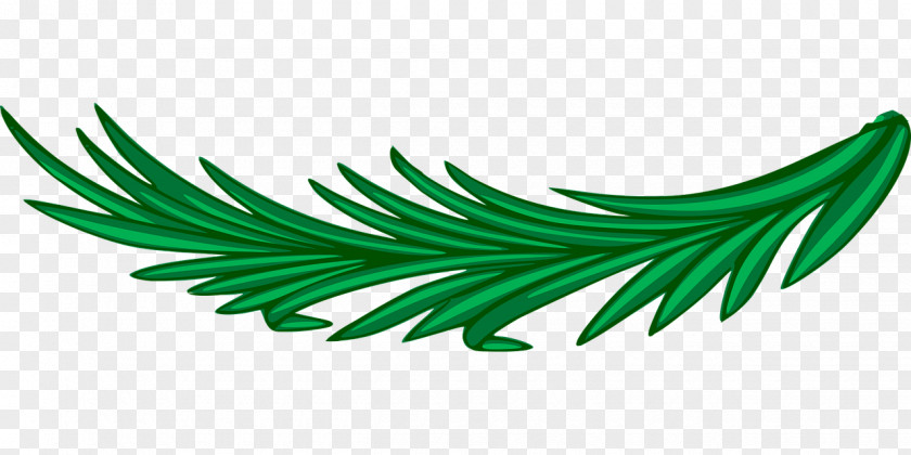 Laurel Tree Clip Art Vector Graphics Bay Wreath PNG