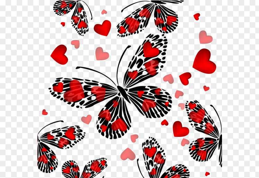Red Butterfly IPhone 6 Paper Wallpaper PNG