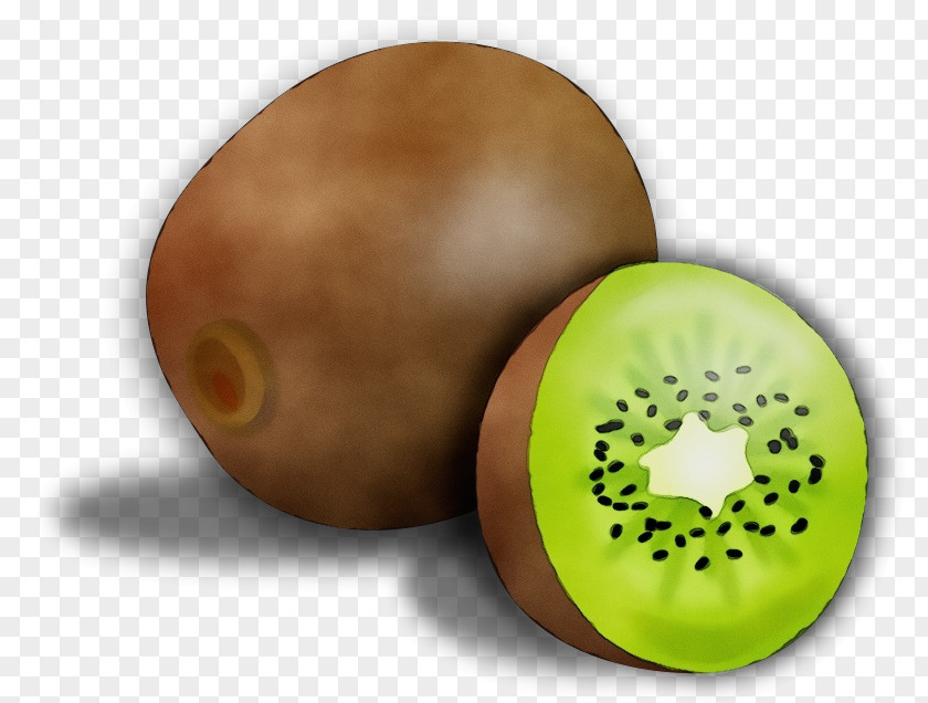 Kiwifruit Fruit Plant PNG