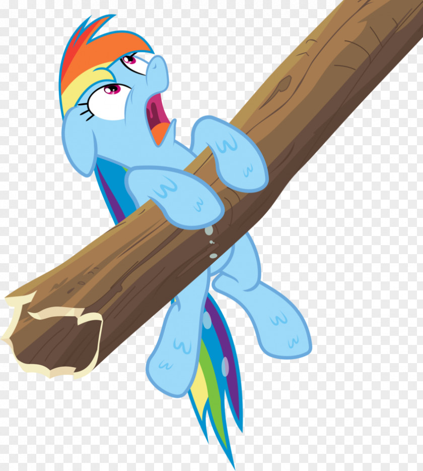 Rainbow Dash Applejack Pony PNG