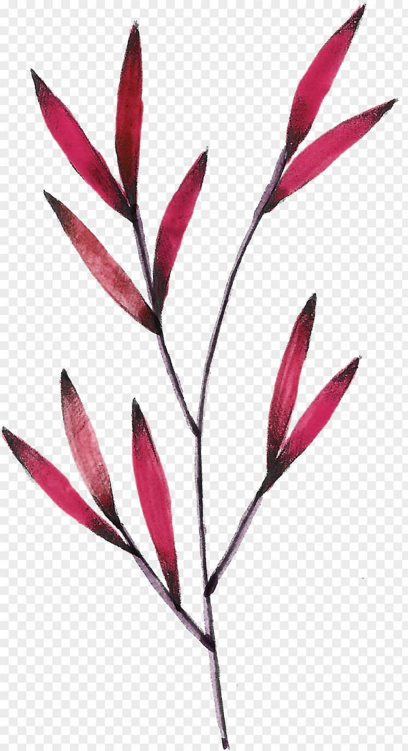Red Leaves Leaf PNG