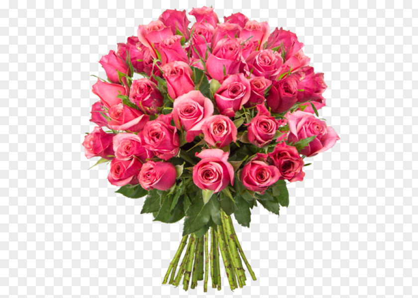 Rose Pink Buchete.ro Red Cut Flowers PNG