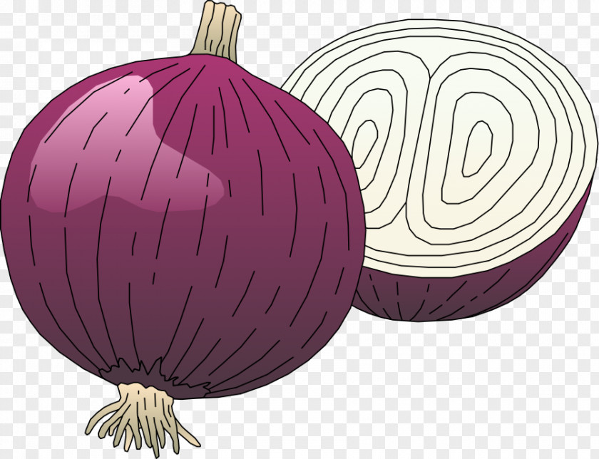 Free Cookbook Clipart Red Onion Content Clip Art PNG